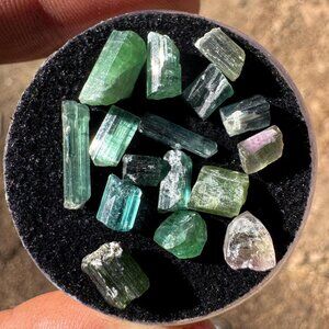 Tourmaline Crystals Lot in Box - 19.7 carats (tb5)